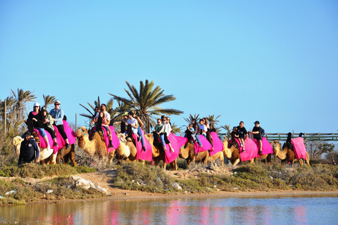 Djerba: Camel Ride to the Blue Lagoon at Sunset