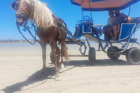 DJERBA: KOETSRIT NAAR DE MIDOUN MARKT.