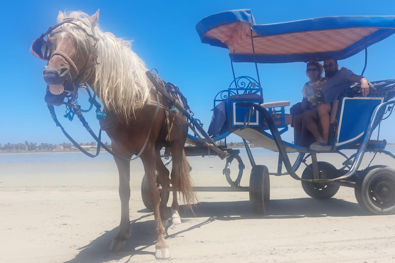 DJERBA: ANDA DE CARRUAGEM ATÉ AO MERCADO DE MIDOUN.