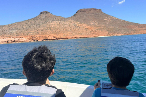 Espiritu Santo Island Tour with Sea Lion Snorkeling