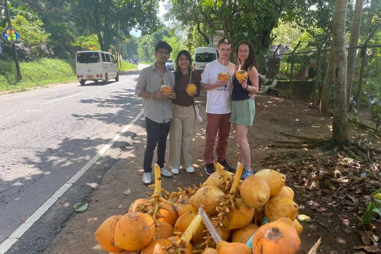 From Colombo/Negombo: Kandy ,Pinnawala ,Tea Factory Day Tour