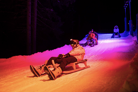 From Zurich: Alpine Mario Kart Light Ride — Snow & Stars