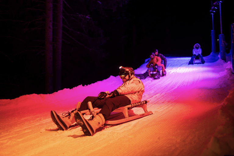 From Zurich: Alpine Mario Kart Light Ride — Snow & Stars
