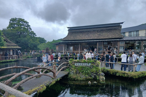 From Tokyo: Mt. Fuji Views Private Customize Itinerary Tour