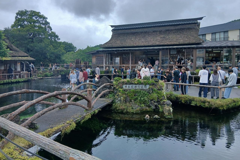 From Tokyo: Mt. Fuji Views Private Customize Itinerary Tour
