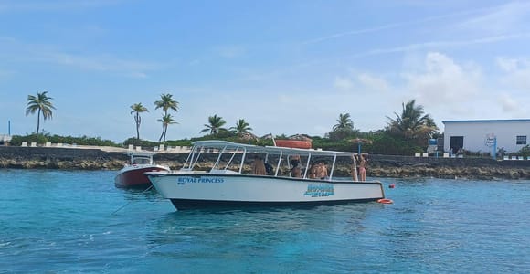 Nassau: Dolphin Encounter and Snorkeling Adventure