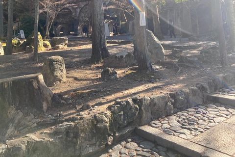 E-Bike Tour in Kyoto with Asuka, Japanese graduate student