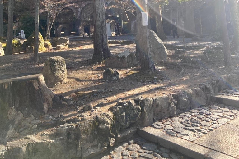 E-Bike Tour in Kyoto with Asuka, Japanese graduate student