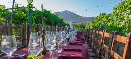 Pompeji und die Keller des Vesuvs: Tour mit Abholung in Positano