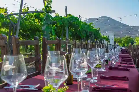 Pompeii and Vesuvius Cellars: Tour with Pick-Up in Positano