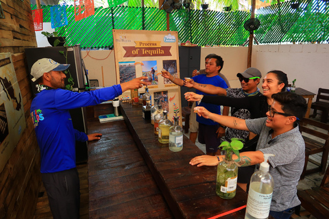 Cancún: Excursión de snorkel por los arrecifes de Puerto Morelos y comida junto al mar