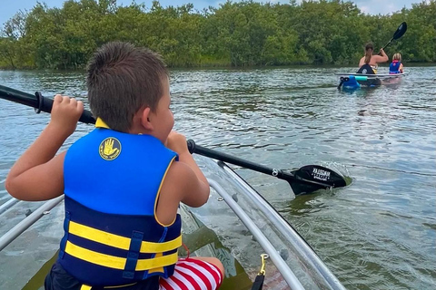 New Smyrna Beach: Guided Clear Kayak Tour with Wildlife