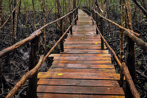 Zanzibar: Floresta de Jozani + excursão à Cidade de Pedra com traslado