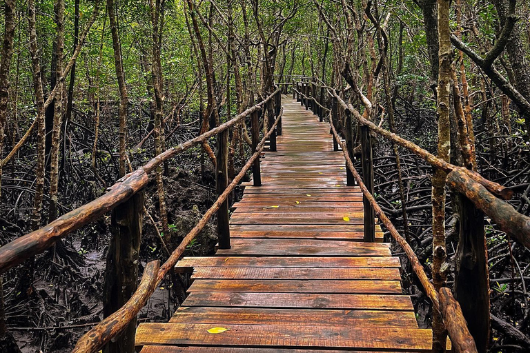 Zanzibar: Floresta de Jozani + excursão à Cidade de Pedra com traslado