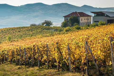 Bodegas Dealu Mare: Excursión de cata de vinos por la Antigua Ruta del Vino