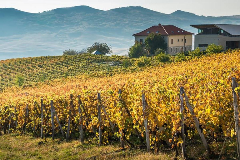 Les vignobles Dealu Mare : Visite de dégustation de vins sur la vieille route des vins