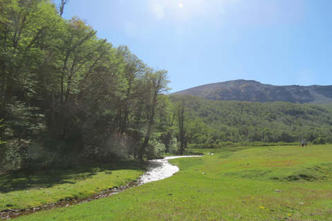 San Martín de los Andes: Half-Day Tour to the Mallin Grande