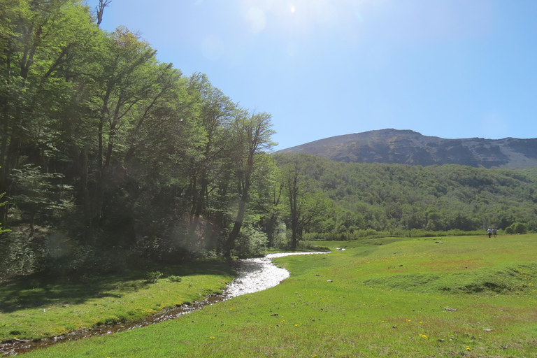 San Martín de los Andes: Half-Day Tour to the Mallin Grande