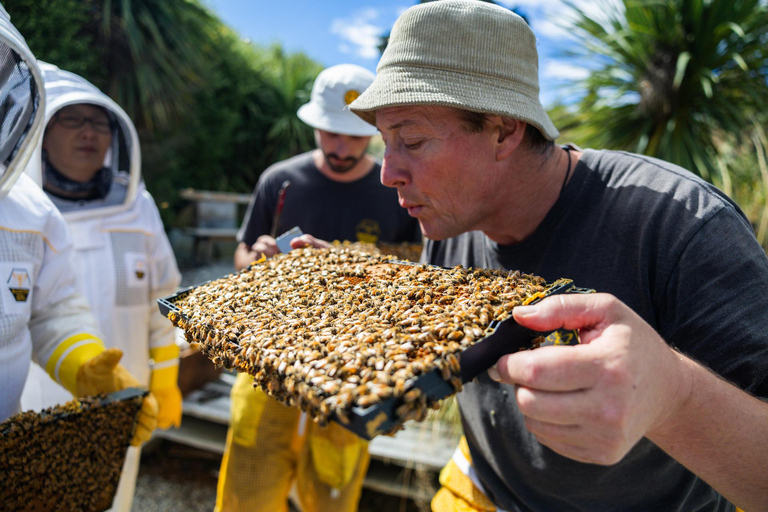 Queenstown: Beekeeping and Honey Spinning Experience