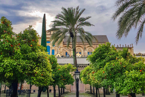 Cordoue : visite guidée en petit groupe de la mosquée-cathédrale