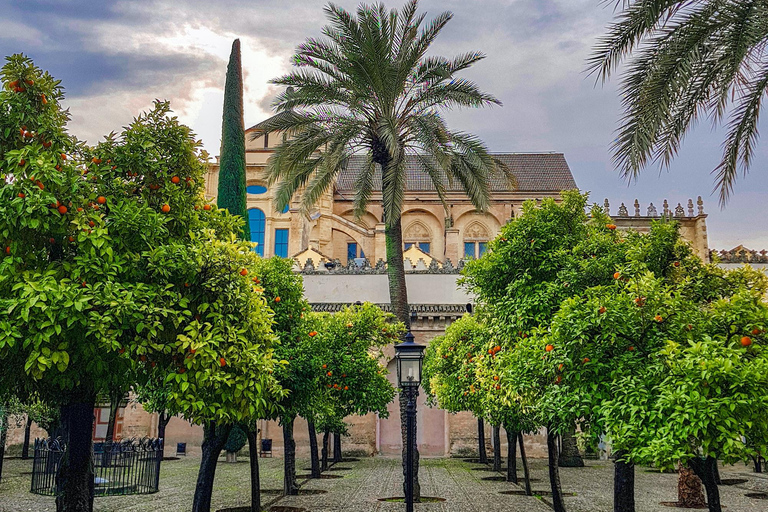 Cordoue : visite guidée en petit groupe de la mosquée-cathédrale