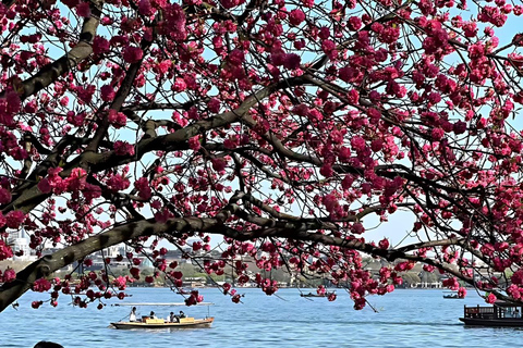 From Shanghai: One-Day Hangzhou Longjing Village Niche Tour