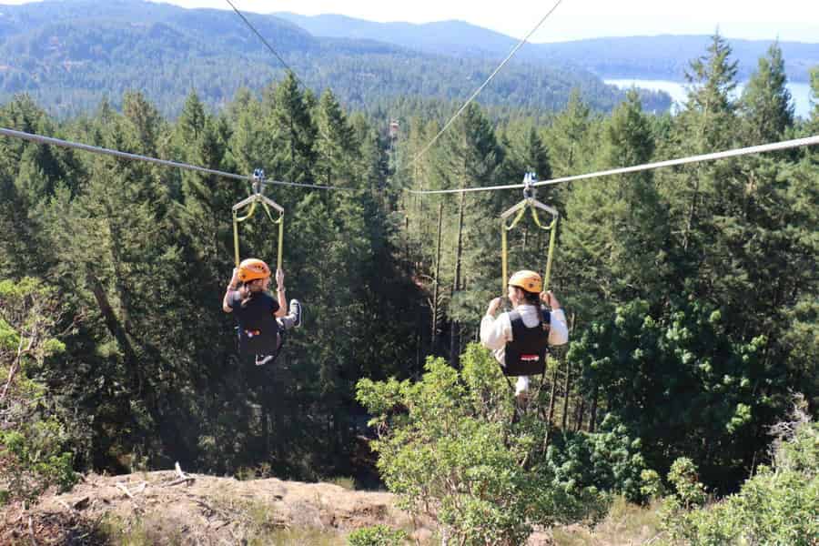 Victoria: Side-by-Side-Zipline mit Höchstgeschwindigkeit. Foto: GetYourGuide