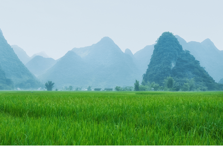 Z Hanoi: 3-dniowa wycieczka motocyklowa Easy Rider po Cao Bang LoopWycieczka grupowa z samodzielną jazdą