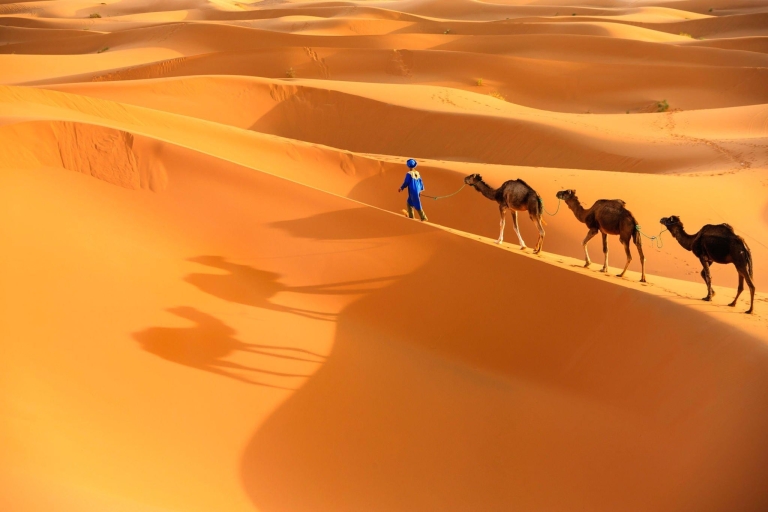 Au départ d'Agadir : Promenade à dos de chameau et randonnée des flamants roses