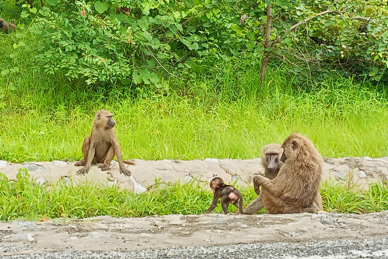 Visite d&#039;Accra Safari et croisière en bateau d&#039;une journée privée