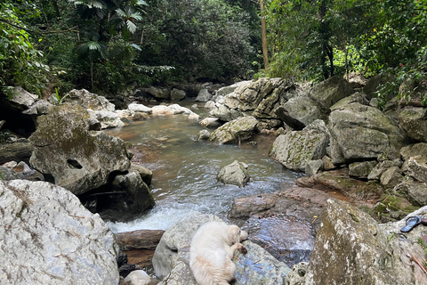 Caguas : Aventure dans les cascades et les grottes