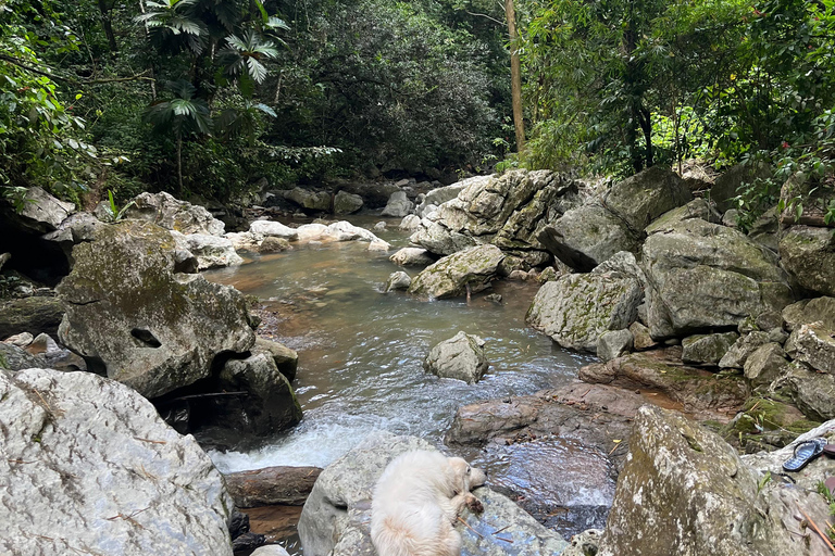 Caguas : Aventure dans les cascades et les grottes