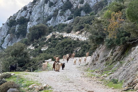 Kefalonia Ainos Premium 4x4 Van Experience