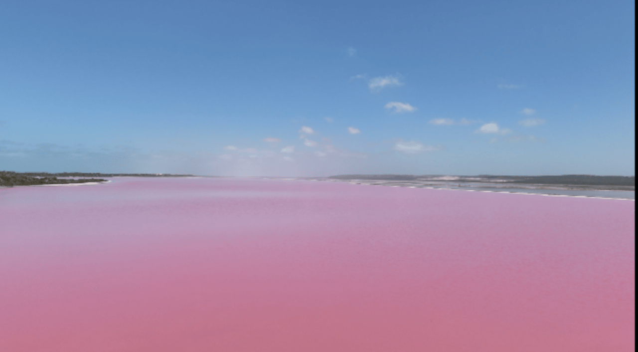 Perth: 2-tägige Tour zum Pink Lake, nach Kalbarri und zu den Pinnacles