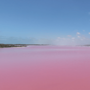 Perth: Private 2-Day Tour; Pink Lake, Kalbarri & Pinnacles