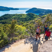 Marahau: Abel Tasman Kayaks Kayak and Walk Marahau: Abel Tasman Kayaks Kayak and Walk