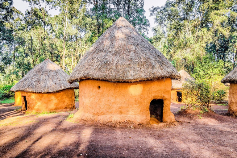 Bomas of Kenya, Nationalpark, Elefanten & Giraffen Tagesausflug