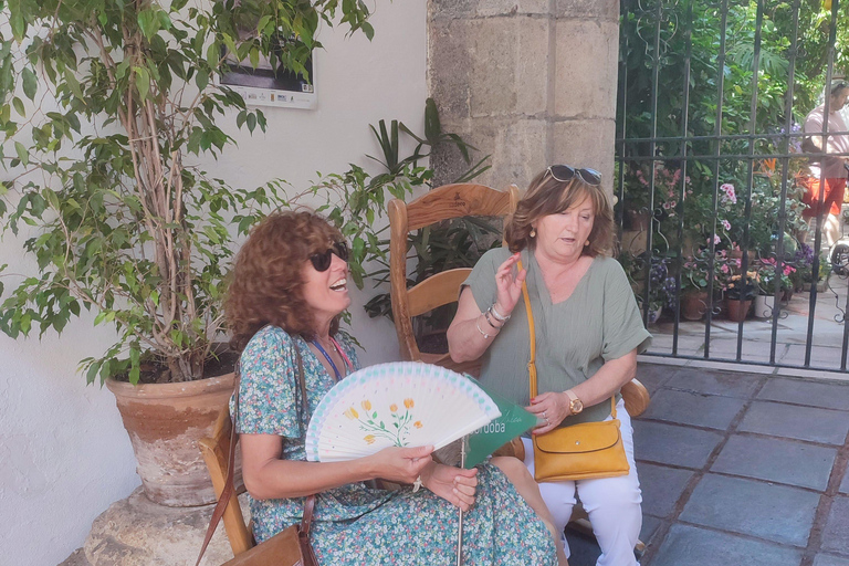 Concours des patios de Cordoue : une expérience unique mêlant fleurs et tradition.Concours des cours de Cordoue : une expérience unique de fleurs et de tradition.