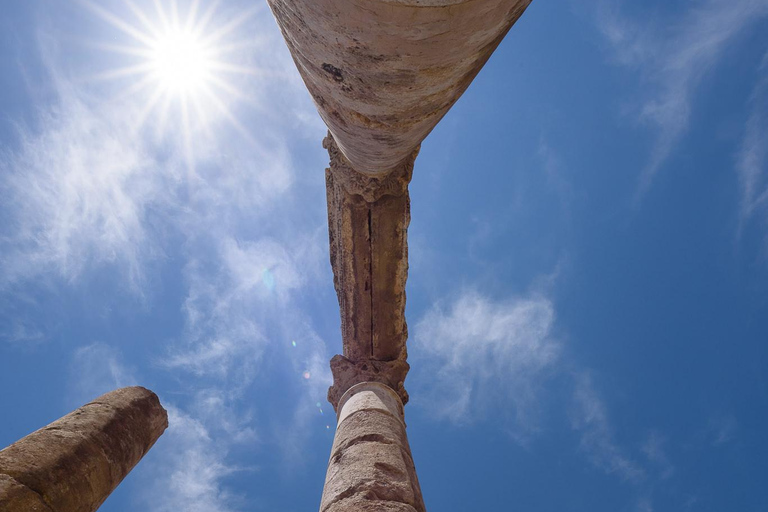 Van de Dode Zee: dagtour door de stad Amman en woestijnkastelenTransport- en toegangskaarten