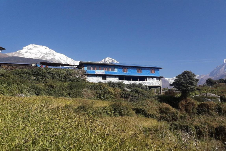 Ghandruk: 3-Day Trek from Pokhara