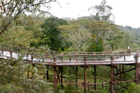 Nairobi Animal Orphanage, SafariWalk and Kenya Bomas Tour