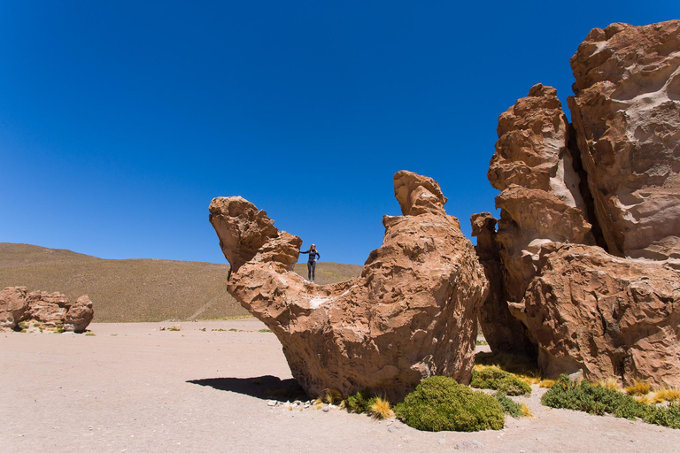 Vanuit Uyuni: Laguna Colorada en Salar de Uyuni 3-daagse + maaltijdenSpaanse tour (optie 1)