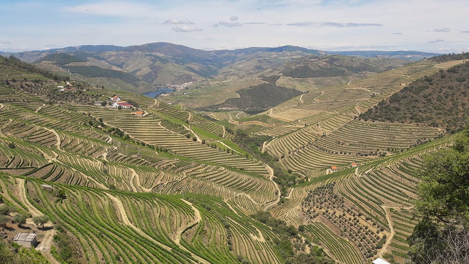 Porto Douro Valley With 2 Wineries Lunch W Chef Cruise GetYourGuide