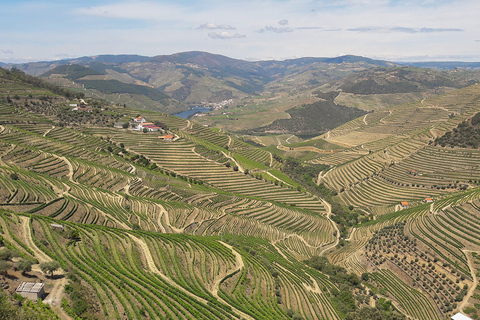 Porto: Private Tour durch das Douro-Tal mit Portweinverkostung und Mittagessen