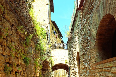 Best of Tuscany Experience Pisa, Siena, San Gimignano & Wine Standard Group Option