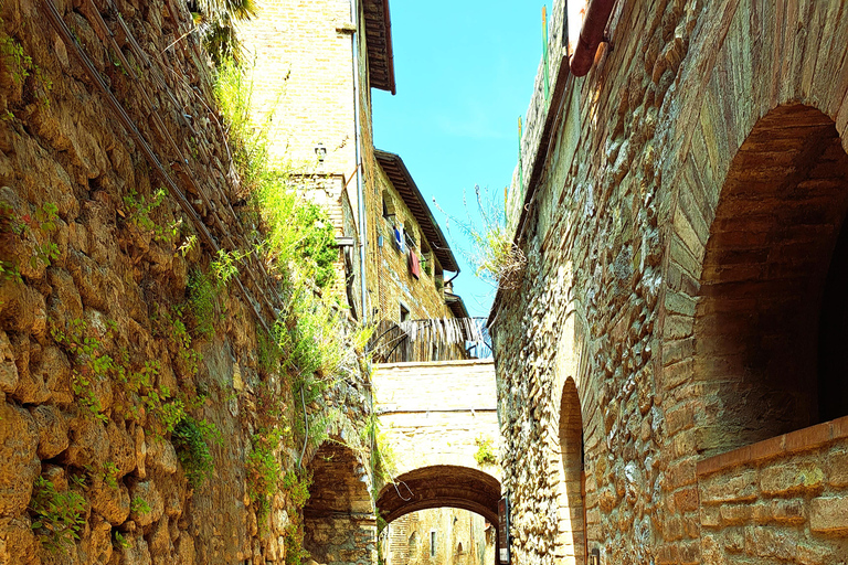 Best of Tuscany Experience Pisa, Siena, San Gimignano & Wine Standard Group Option