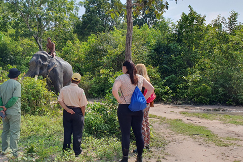 Siem Reap: Excursão em grupo pequeno à floresta de elefantes de Kulen