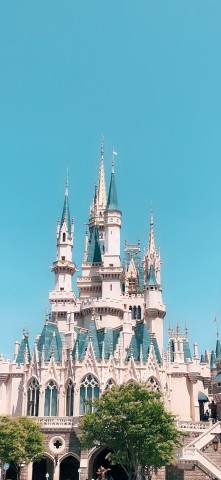 Tokyo: Disneyland and DisneySea Private Transfer