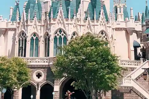 東京：ディズニーランドとディズニーシーのプライベート送迎