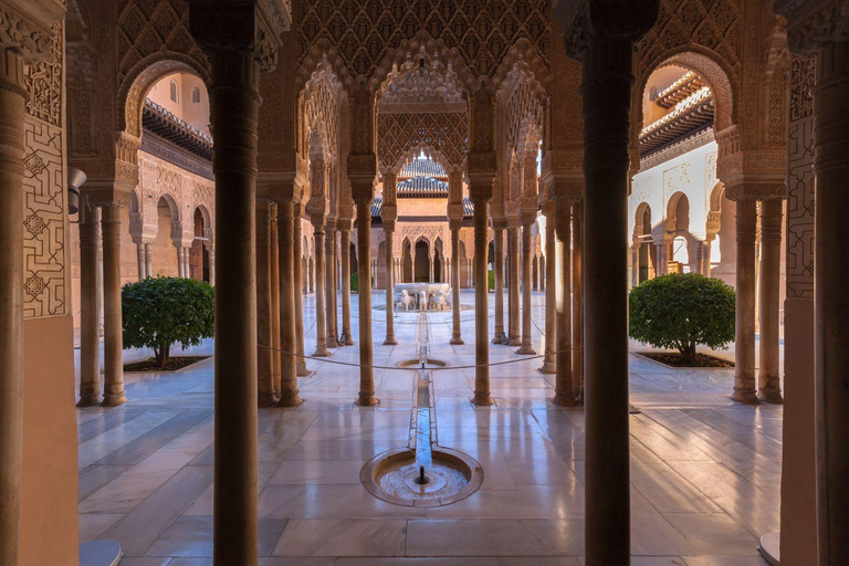 Grenade : Visite guidée de l&#039;Alhambra et des palais Nasrides